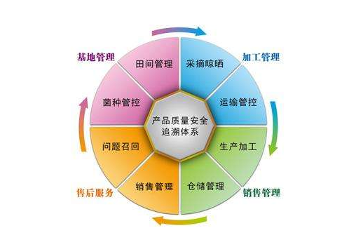 產(chǎn)品追溯系統(tǒng) 主流開(kāi)發(fā)商與技術(shù)創(chuàng)新路徑